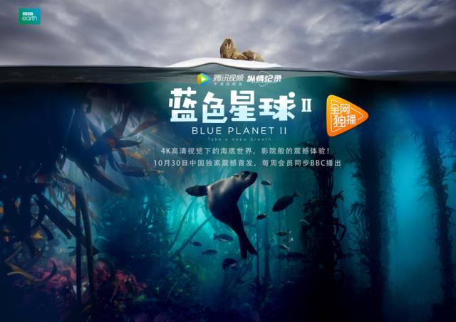 官方导航第一福利剧照1