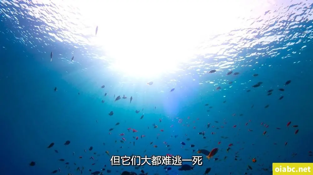 一区二国产好的精华剧照1
